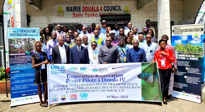 C: Commune Douala IV